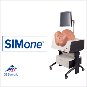 SIMone?ģ P80/1